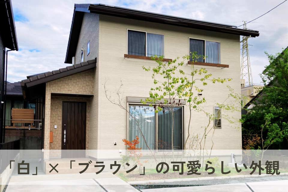 仲介手数料不要　新産住拓合志市須屋小迫【西合志南小・西合志南中】の外観