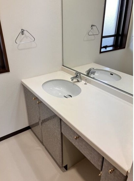 パークハウスガーデン梅園北館の洗面所