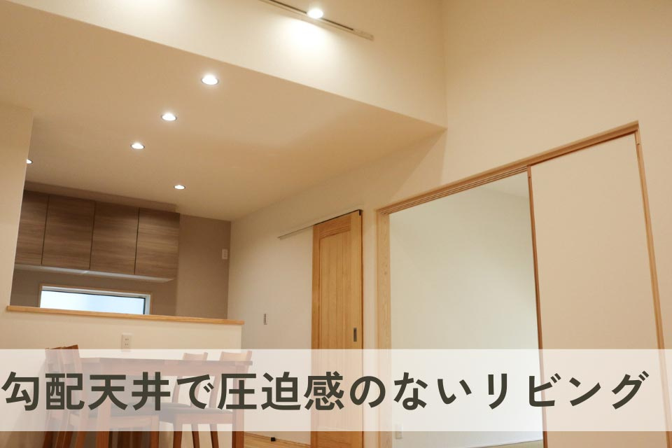 仲介手数料不要　新産住拓新須屋平屋【西合志南小・西合志南中】の居間・リビング