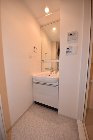 プレサンス難波セレクトの洗面所