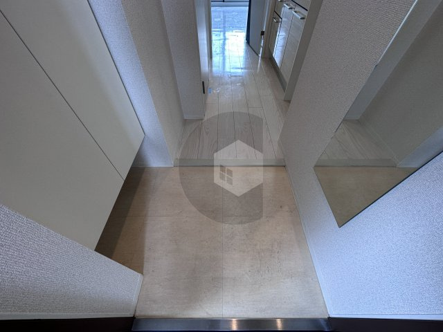 東大阪市高井田本通７丁目の賃貸マンションの玄関