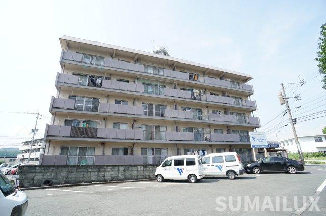 熊本市東区渡鹿８丁目の賃貸マンションの外観