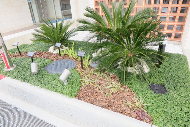 エステムコート南堀江Ⅲチュラのエントランス