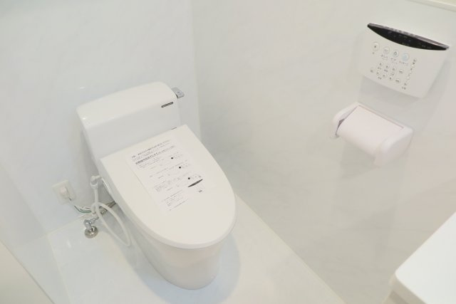 エステムコート南堀江Ⅲチュラのトイレ