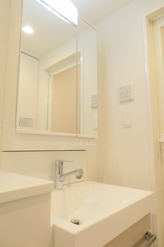 エステムコート南堀江Ⅲチュラの洗面所