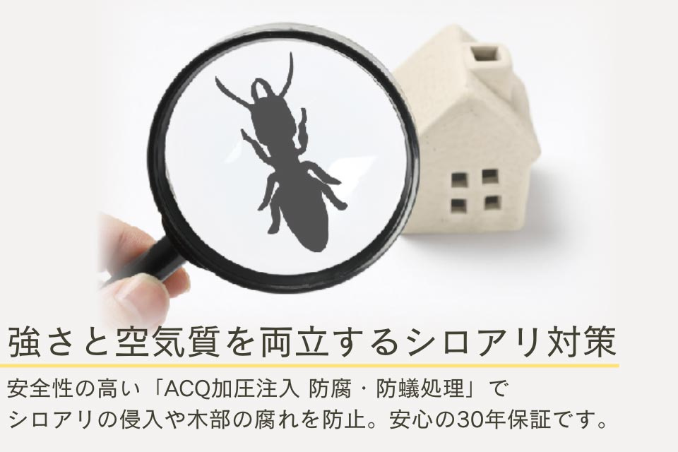 仲介手数料不要　新産住拓新須屋2階建て【西合志南小・西合志南中】の構造・工法・仕様