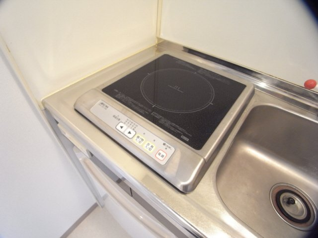 アルゴール王子公園のキッチン