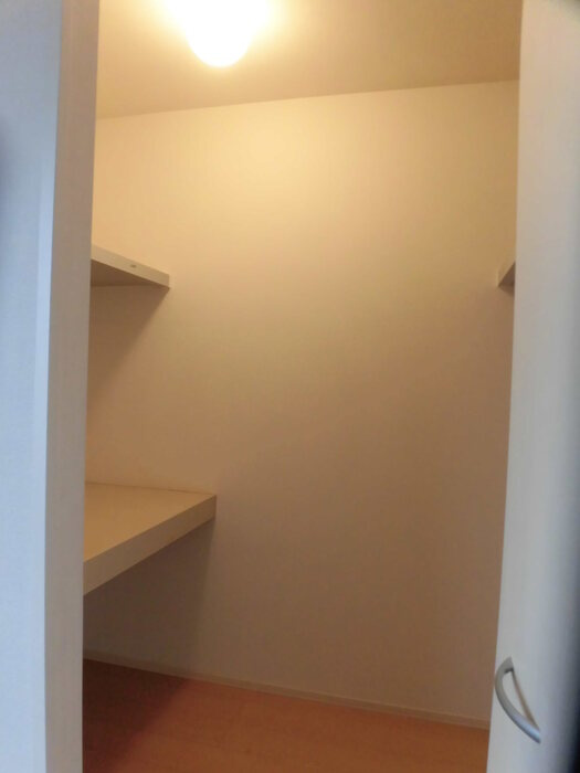 N's BLANC D棟|D217 ウォークインクローゼット