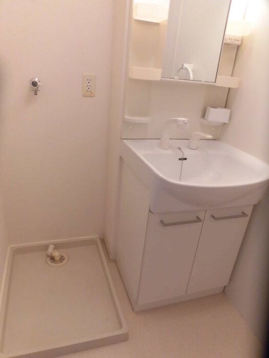 N's BLANC D棟|D217 洗髪洗面化粧台・洗濯機置き場