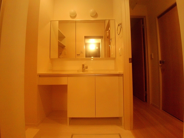 マ・メゾン岩屋の洗面所