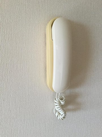 Y＆Mデイジーの設備|インターホン