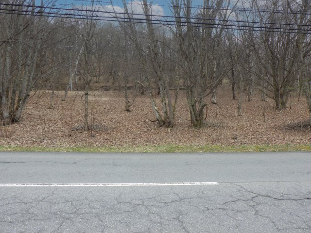 峰の原高原分譲地②の外観