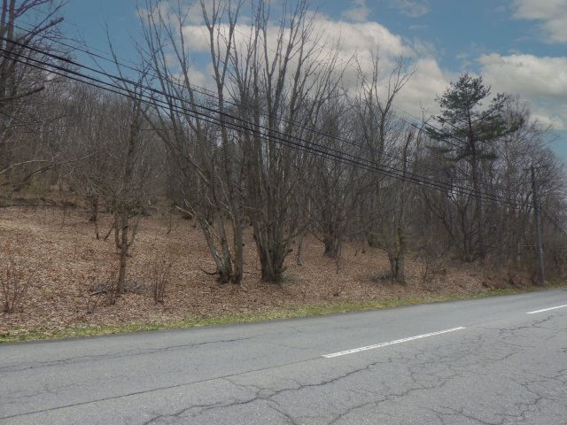 峰の原高原分譲地②の前面道路含む現地写真