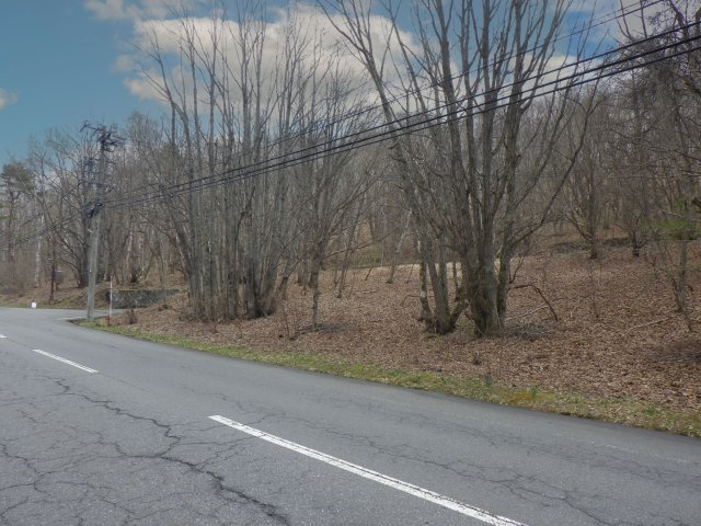峰の原高原分譲地②の前面道路含む現地写真