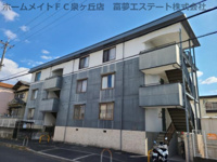 ネオグレイスの画像