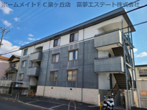 ネオグレイスの画像