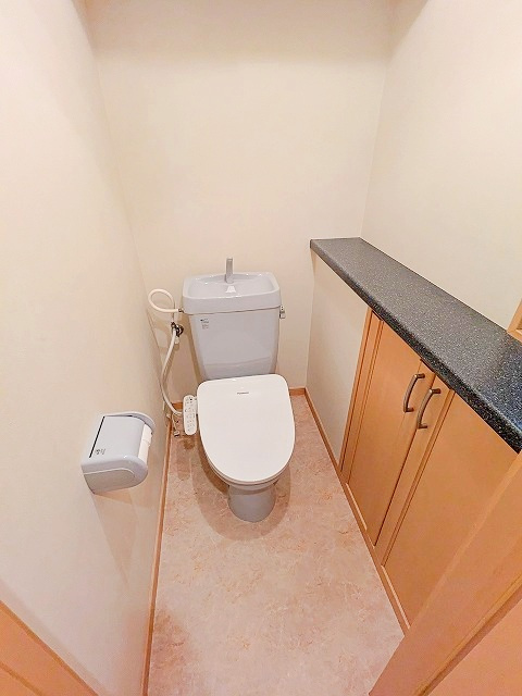 仲六郷3丁目戸建てのトイレ