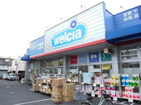 ウエルシア足立島根店まで361m