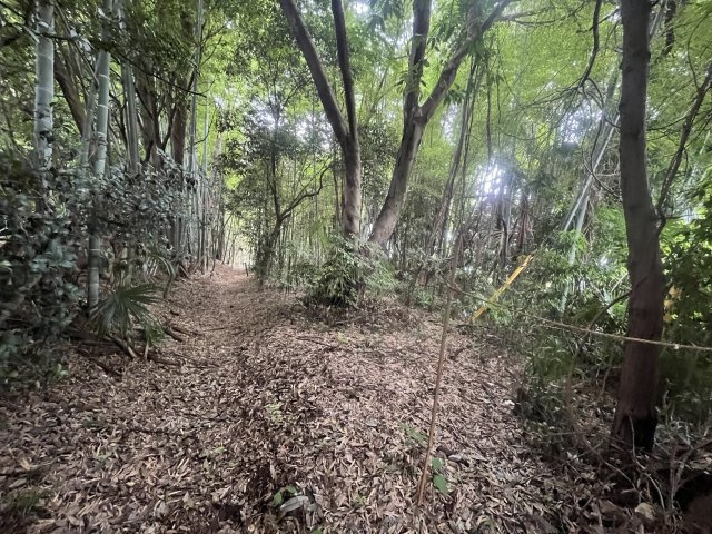 土地 所沢市三ケ島の外観
