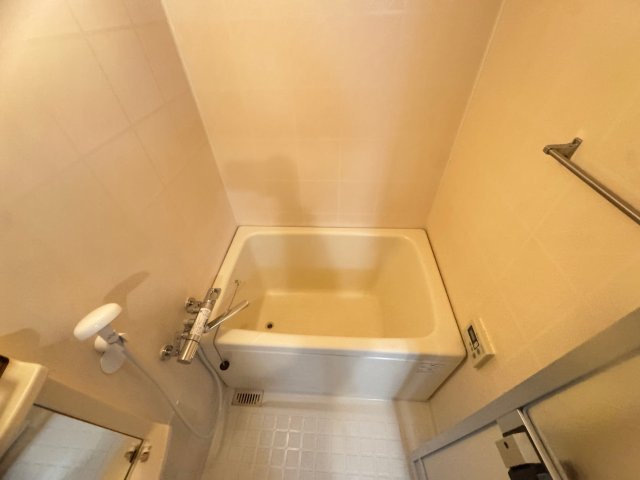 ヌーヴェルシャトーの浴室