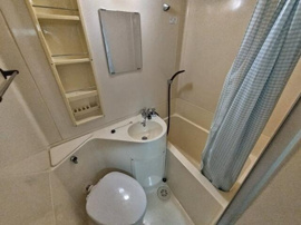 参考写真