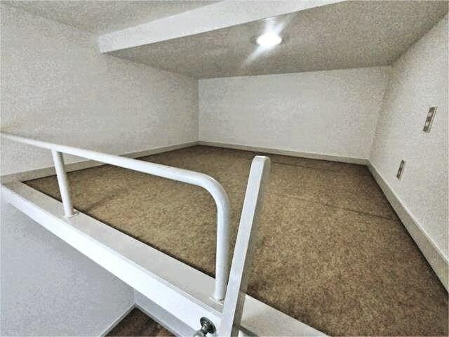 参考写真