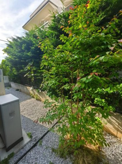 【その他】 | 世田谷区瀬田1丁目