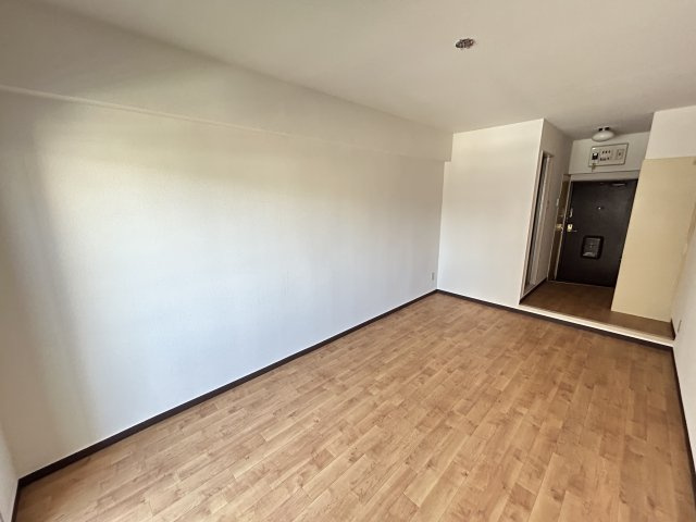 ラ・トゥールナリタのその他