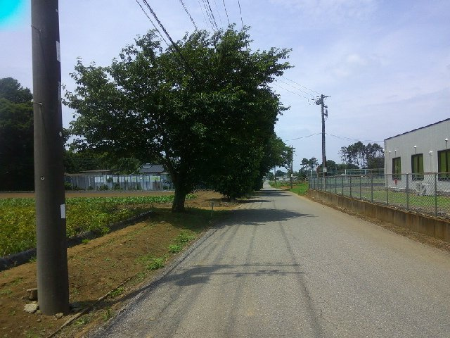 八街市沖の倉庫