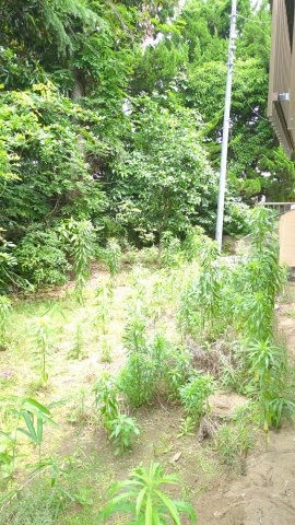 【庭】 | 大網白里市四天木乙　中古戸建