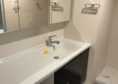 【独立洗面台】 | グランシティレイディアントアクアヴィータ | 洗面化粧台では顔を洗ったり、身だしなみを整えることが本来の使い方ですが、用途によっては洗面化粧台に求められる機能が違ってくるため、ご自身や家族のライフスタイルに合ったものを選ぶことをおすすめ致します。