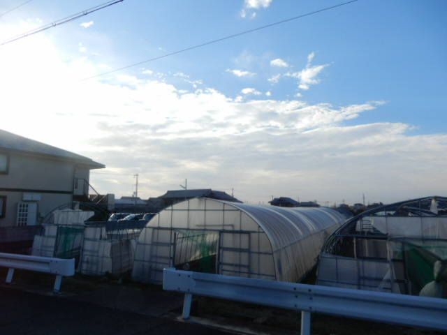 ウエストビレッジの展望