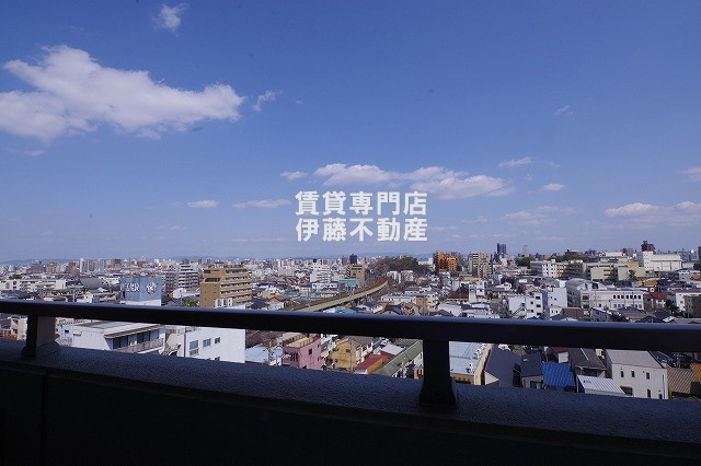 ラドーニ清水の展望