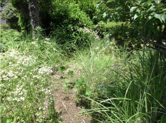 【庭】 | 大室高原別荘地　戸建