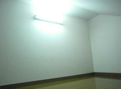 【寝室】 | アーバンプレイス沼袋 | 収納・寝室にも使えるロフト☆(同一仕様写真)