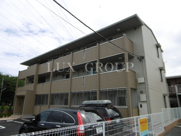 ヴィオラの画像