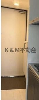 グランドメゾンの玄関|落ち着いた玄関です