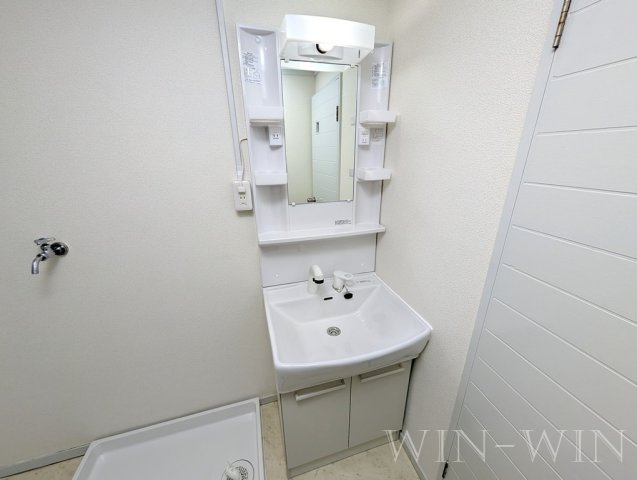 グリーンコーポ草間の洗面所