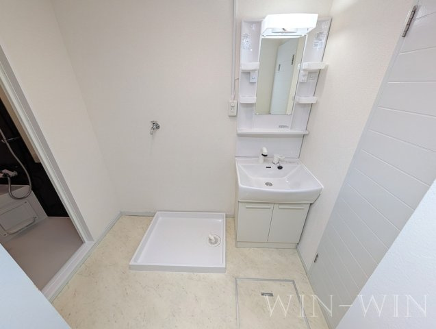 グリーンコーポ草間の洗面所