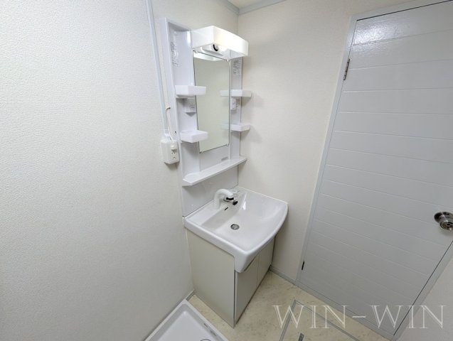 グリーンコーポ草間の洗面所