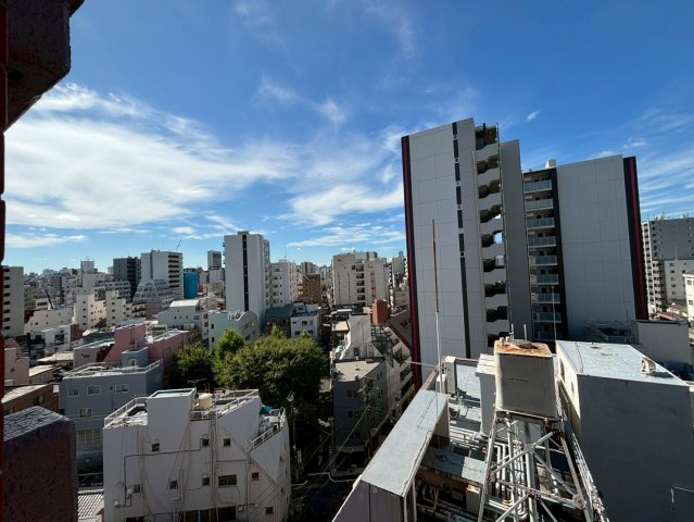 ルーブルかな杉の展望