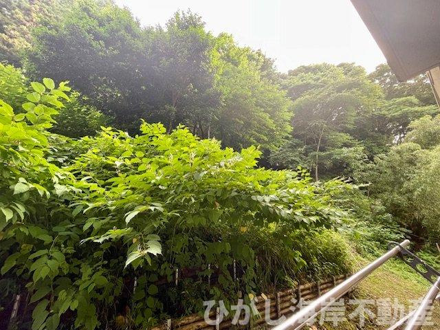 レクセル湘南平塚の展望|バルコニーからの眺望