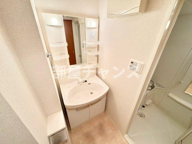 プラウランド堀田の洗面所