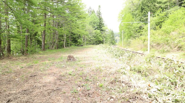 【土地】平青木湖の周辺