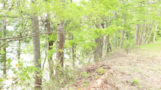 【土地】平青木湖の周辺