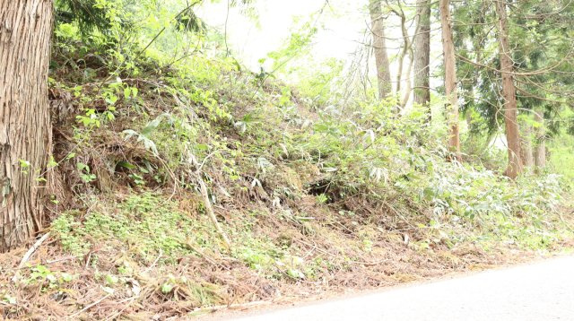 【土地】平青木湖の周辺