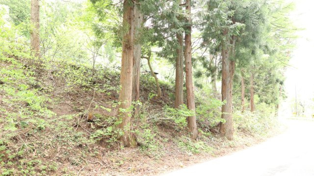 【土地】平青木湖の周辺