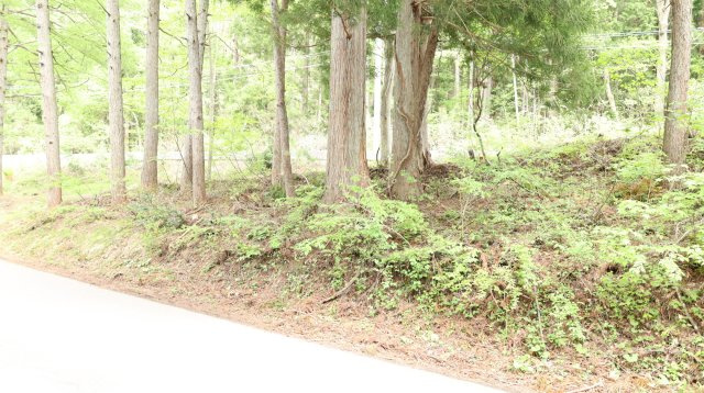 【土地】平青木湖の周辺