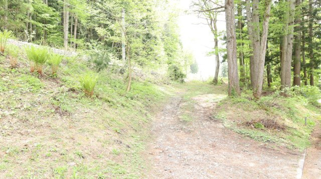 【土地】平青木湖の周辺