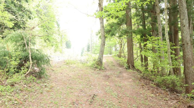 【土地】平青木湖の周辺